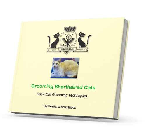 Grooming Shorthaired Cats
